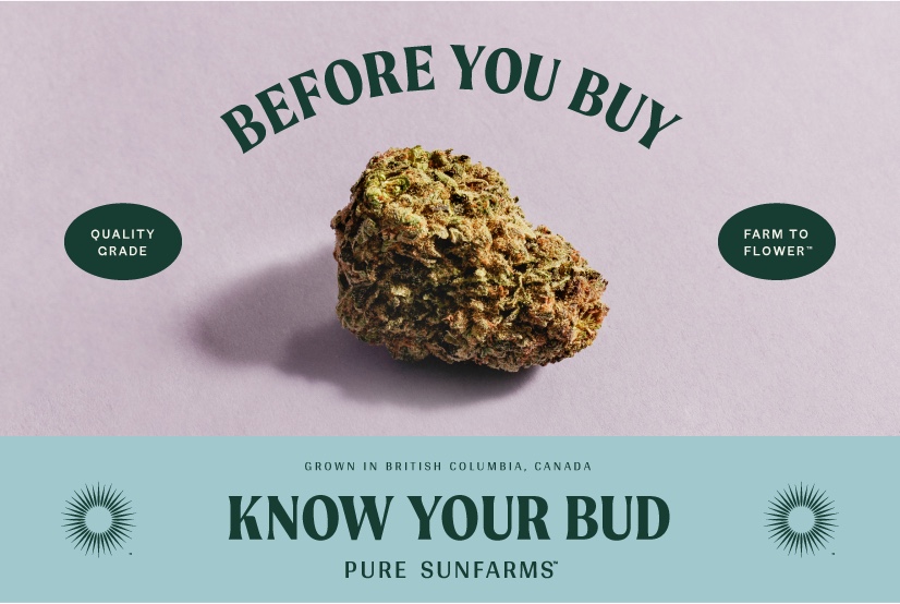 Before you buy: get to know your bud