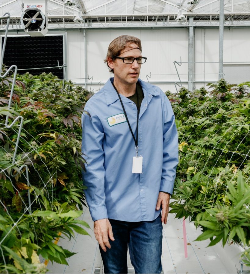 A Pure Sunfarms employee walking through the greenhouse.