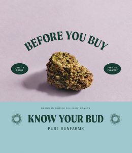 Before you buy, know your bud.