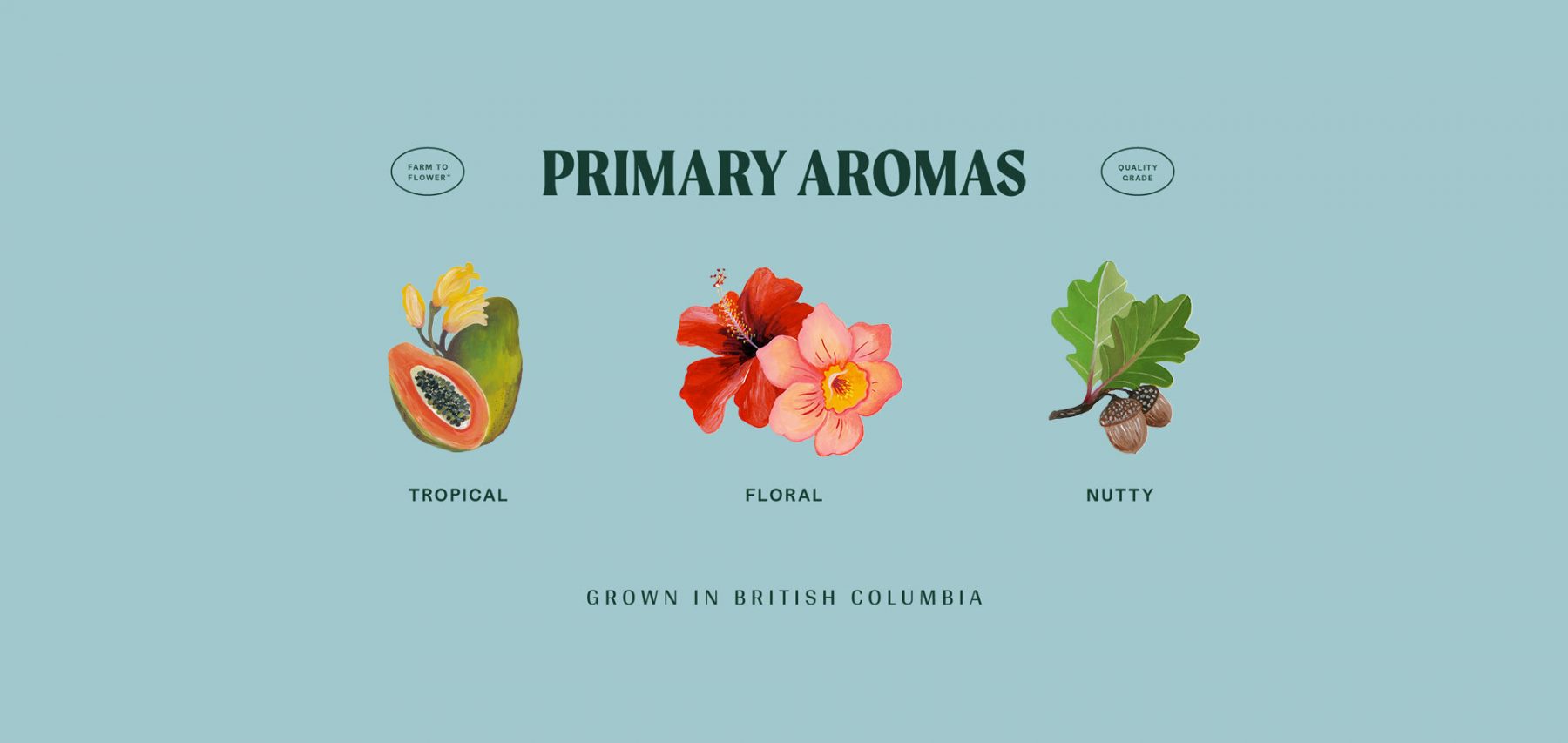 Aroma illustration