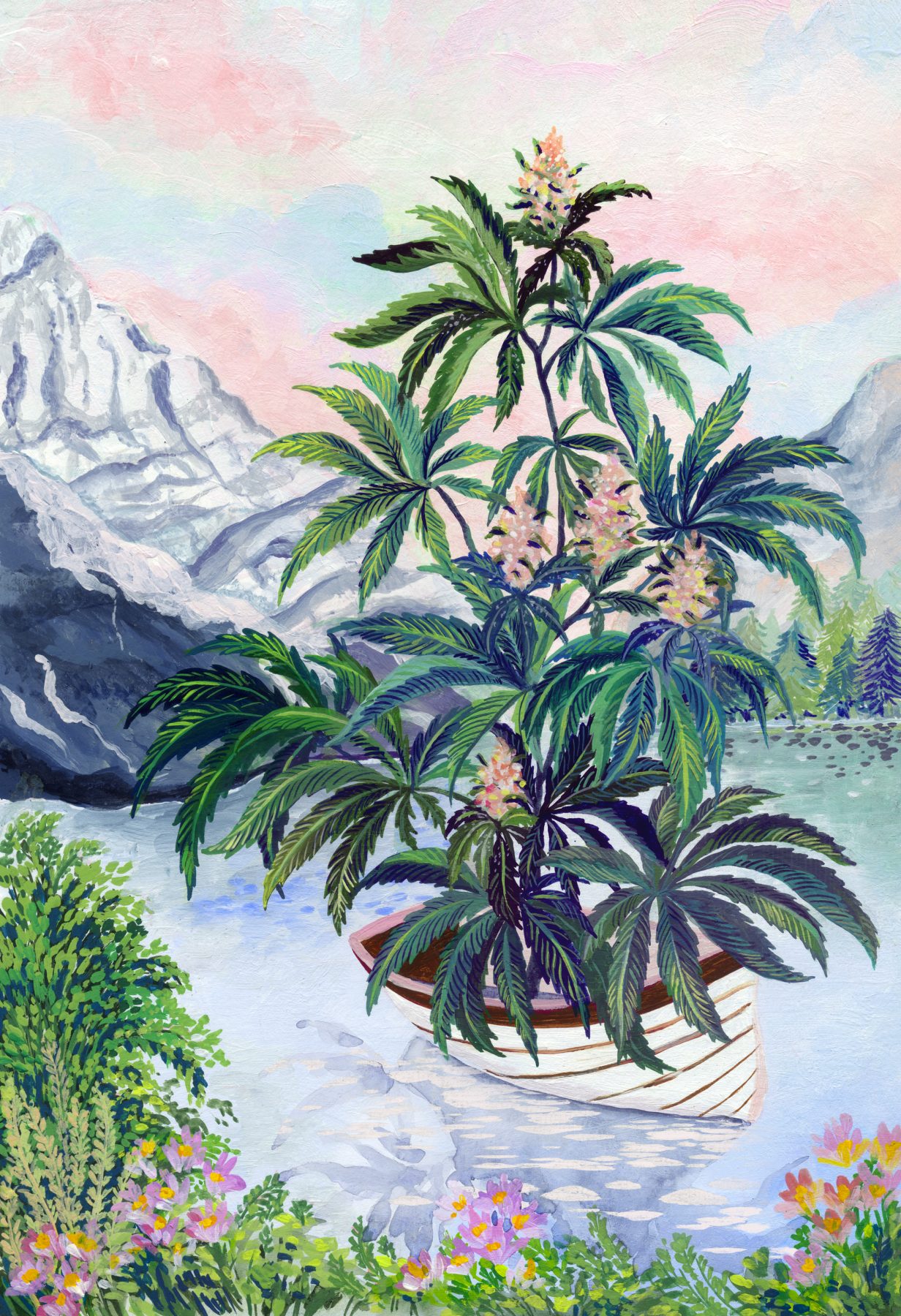 cannabis illustration
