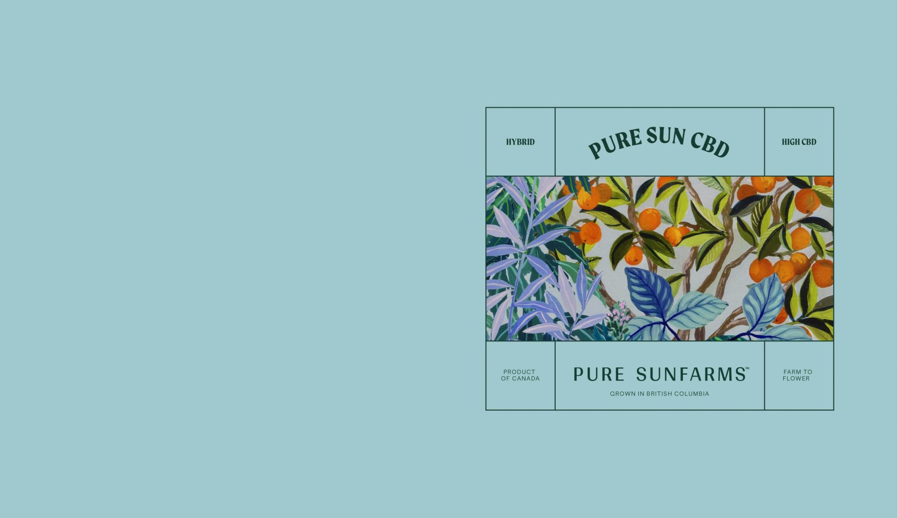 Pure Sun CBD. Hybrid. High CBD.