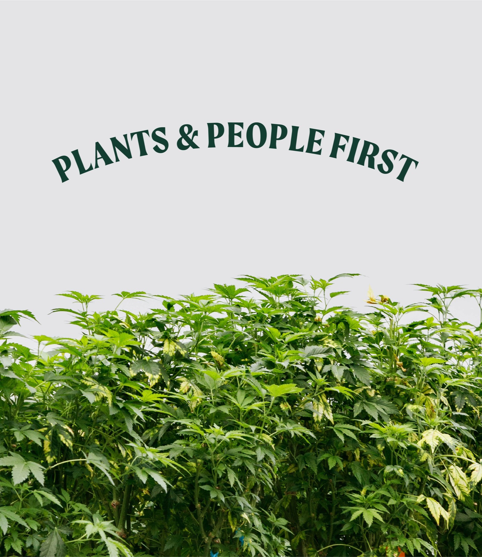 Plants and people first.