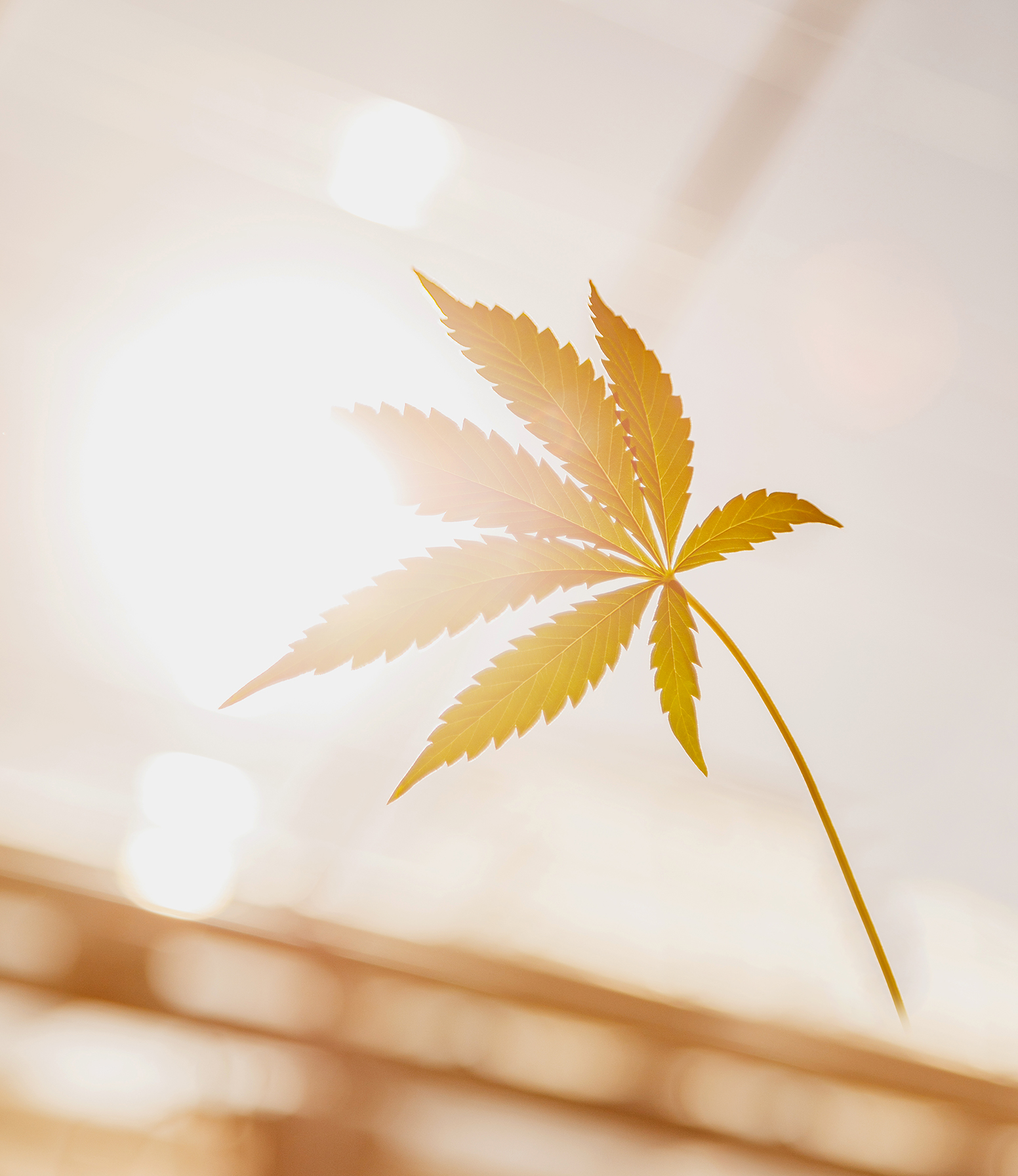 Pure Sunfarms Expands Across Canada’s Prairies with First Shipment of High-Quality Cannabis Products Now Available in Saskatchewan, Manitoba to Follow