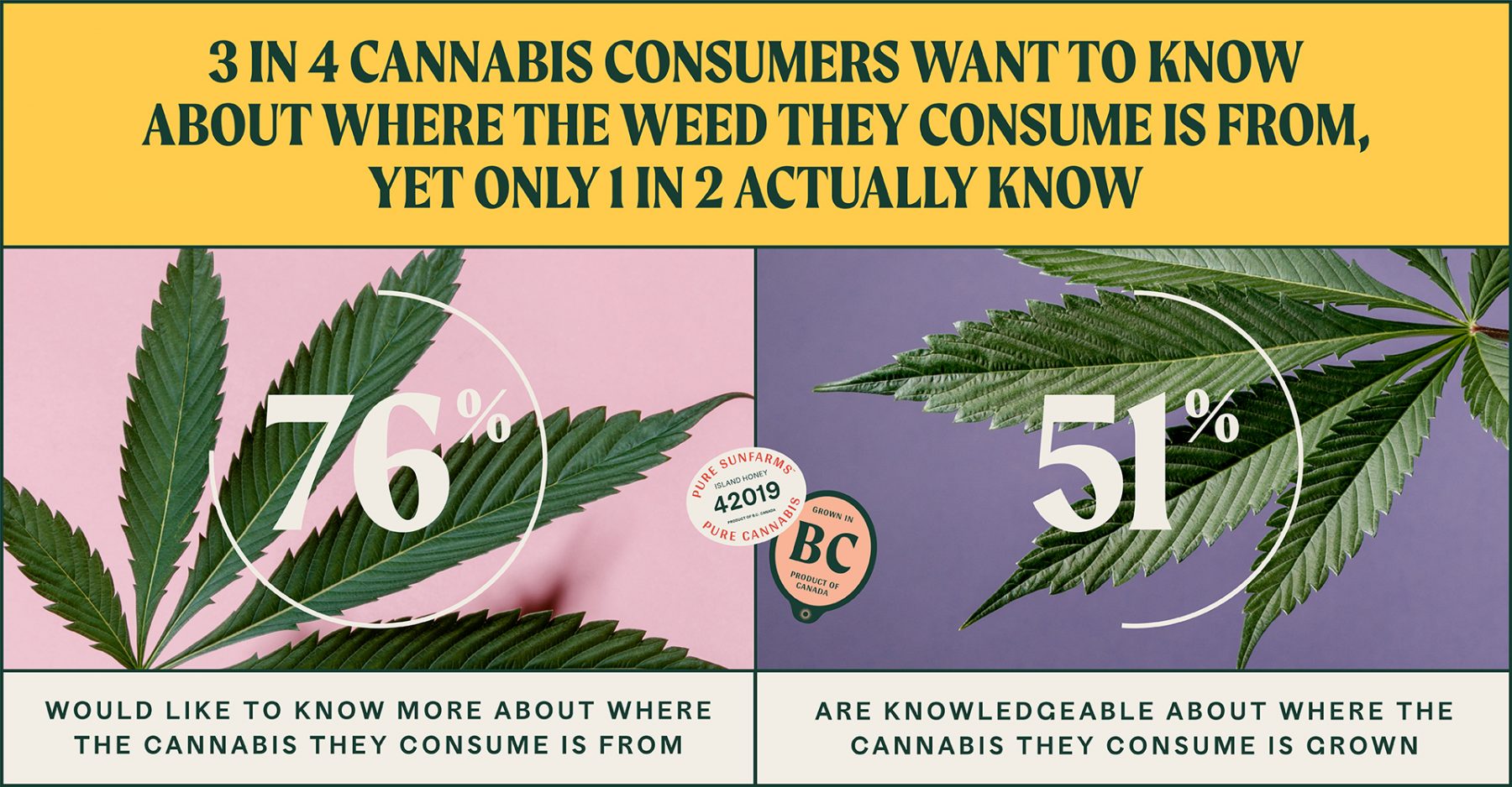 Graphic with stats: 76% of people would like to know more about where their weed comes from, 51% are knowledgeable about where the cannabis they consume is grown.
