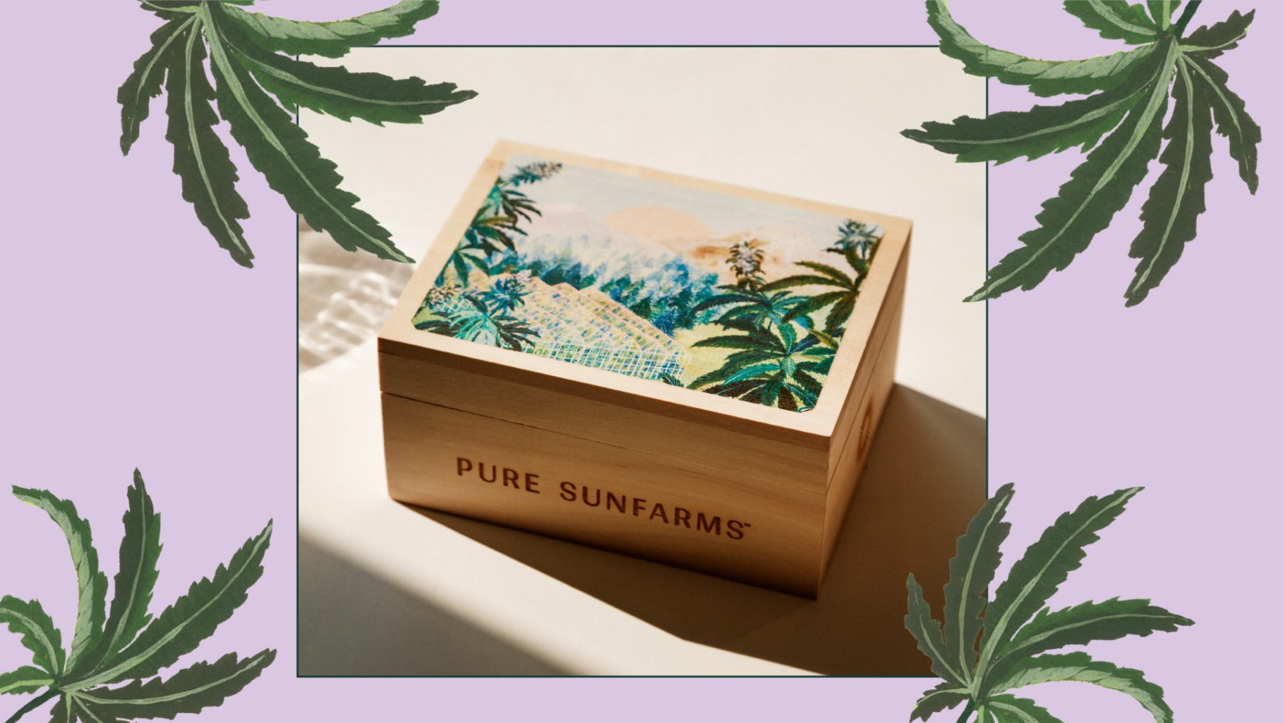 wooden storage box with cannabis leaf illustrations 