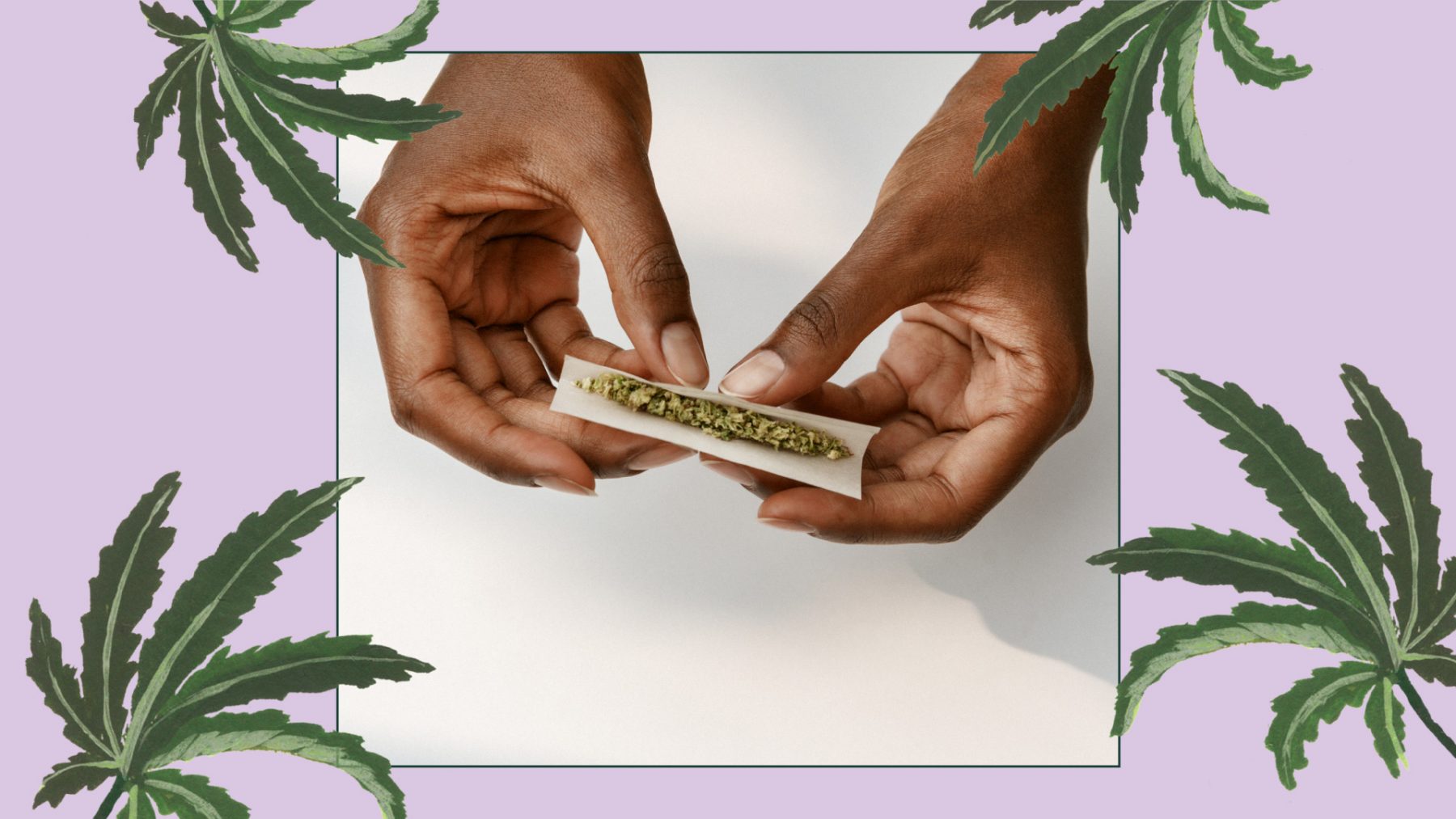 Hands rolling joint with cannabis leaf illustrations
