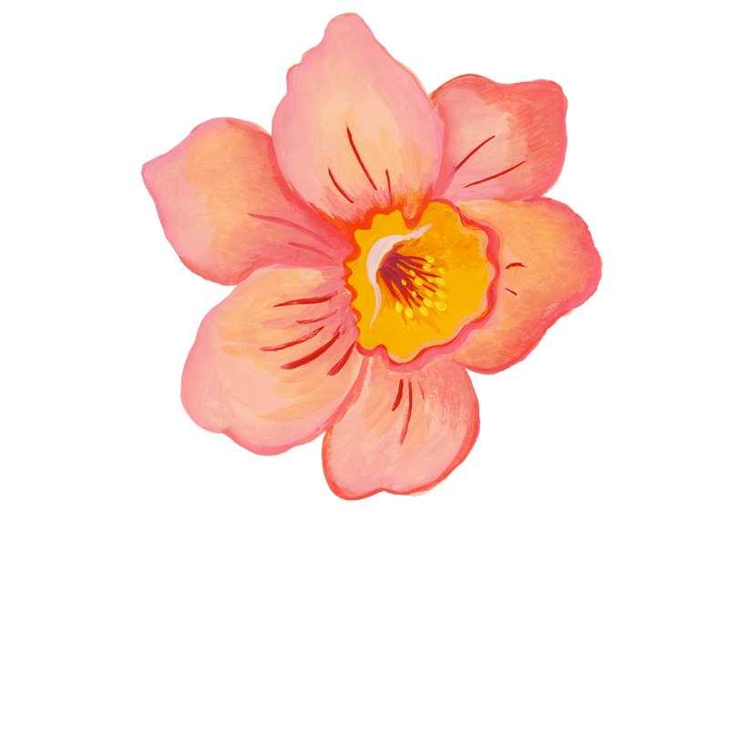 flower illustration 
