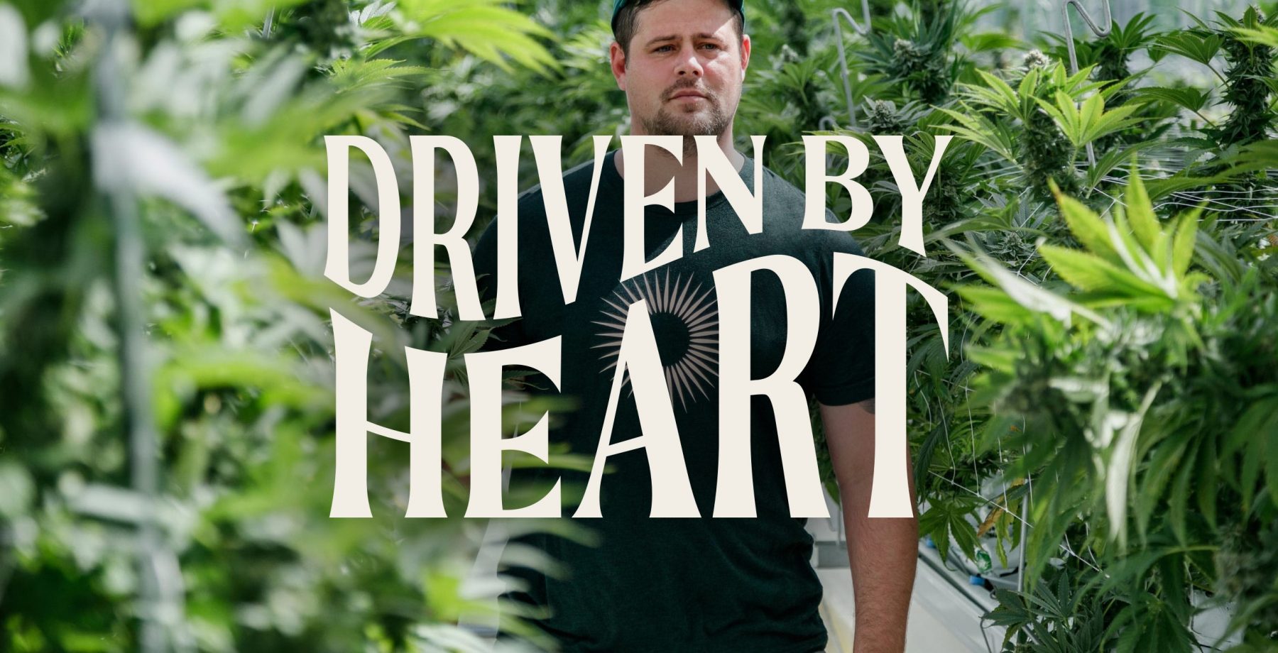 driven by heart text over model in greenhouse