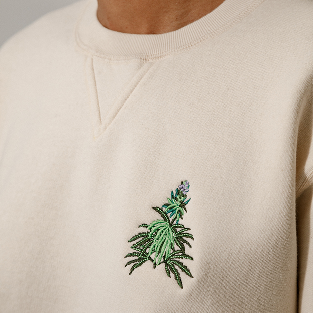 Model wearing beige crewneck with Cannabis plant embroidery 