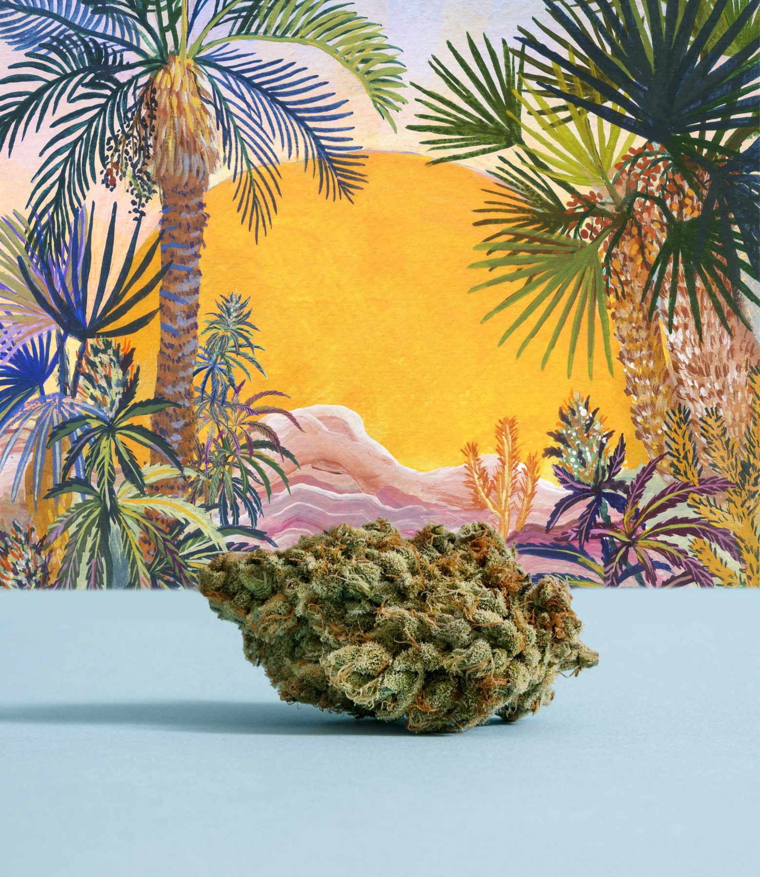blue dream bud on blue table with sunshine and palm tree illustration in the background