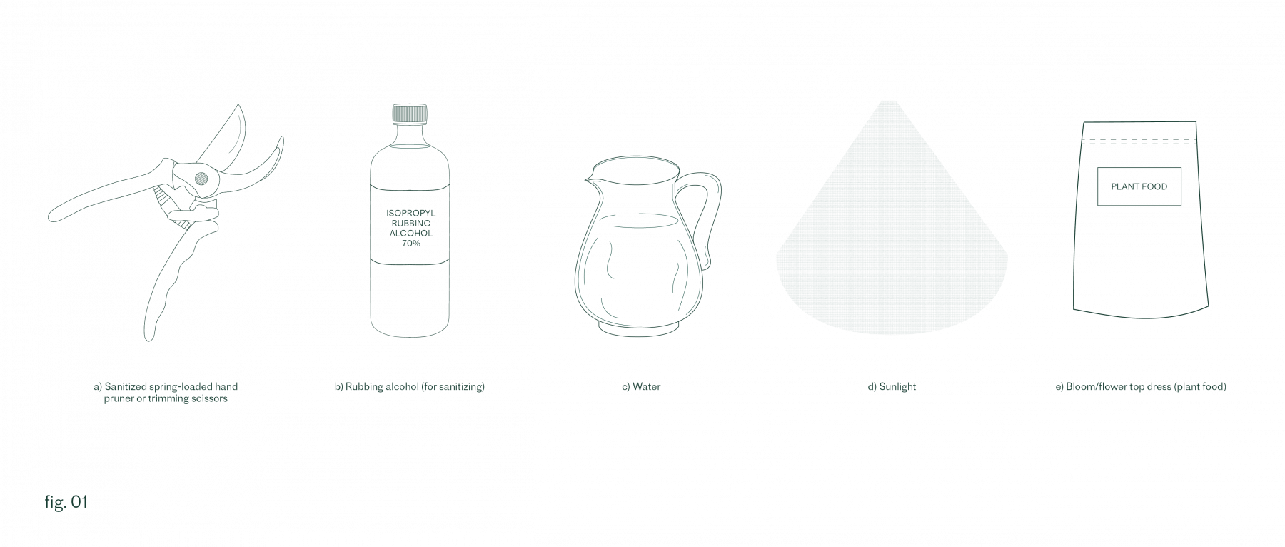 fig. 01 tools needed (trimming tools, rubbing alcohol, water, sunlight, plant food)