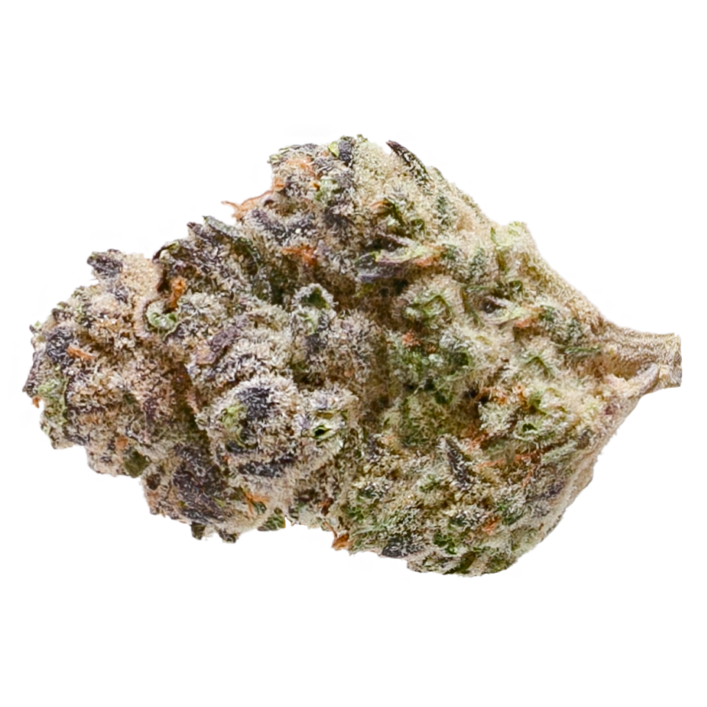 Black Cherry Punch Bud