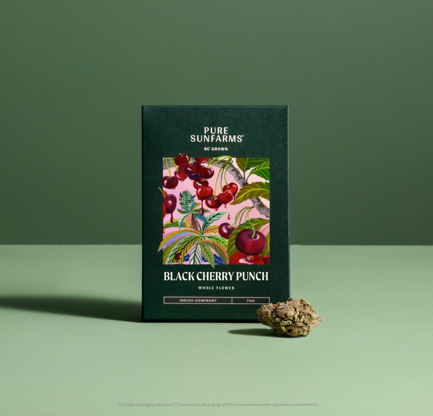 Black Cherry Punch Concept Package with Product - Green