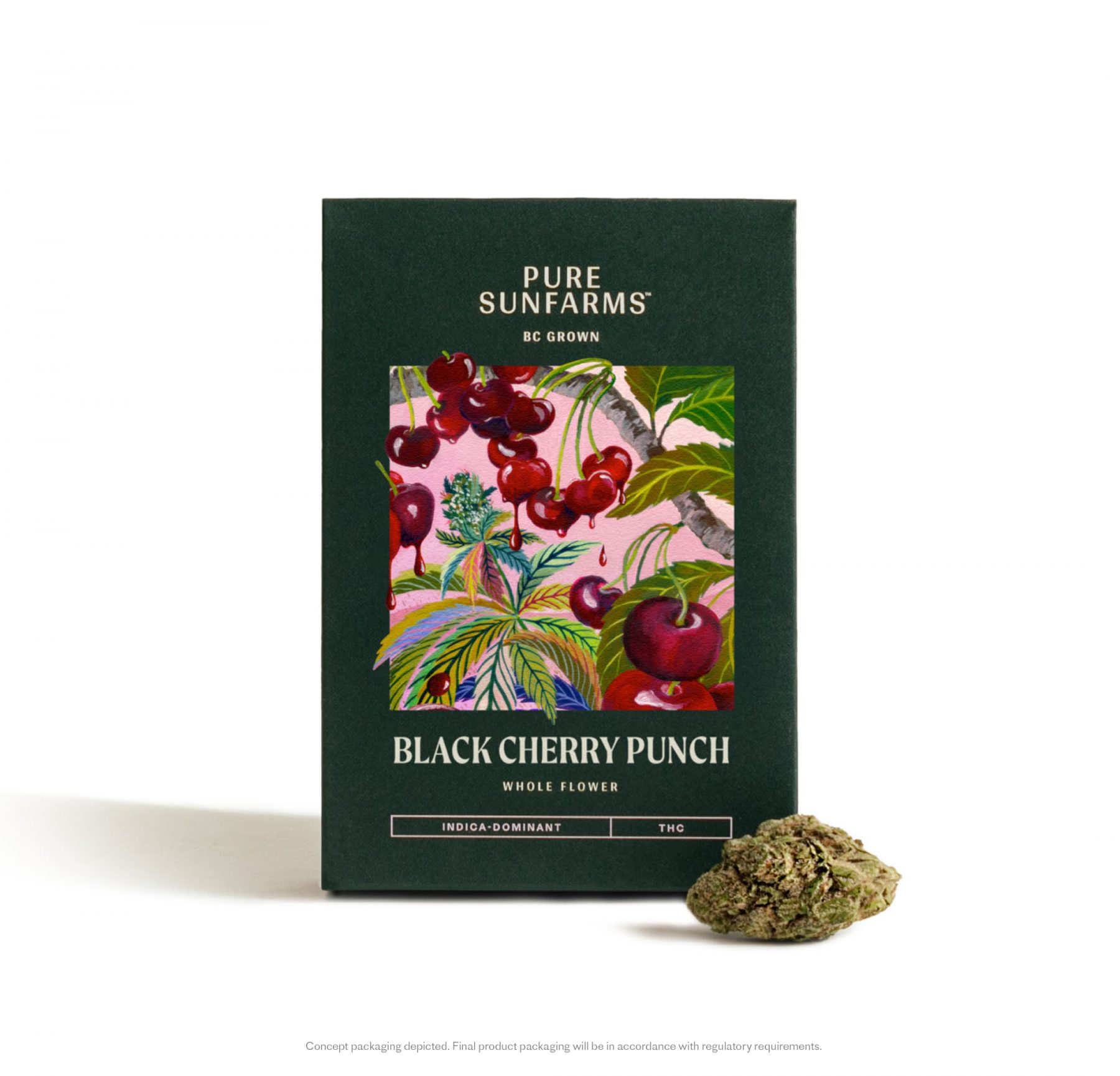 Black Cherry Punch - Concept Package and Bud on White