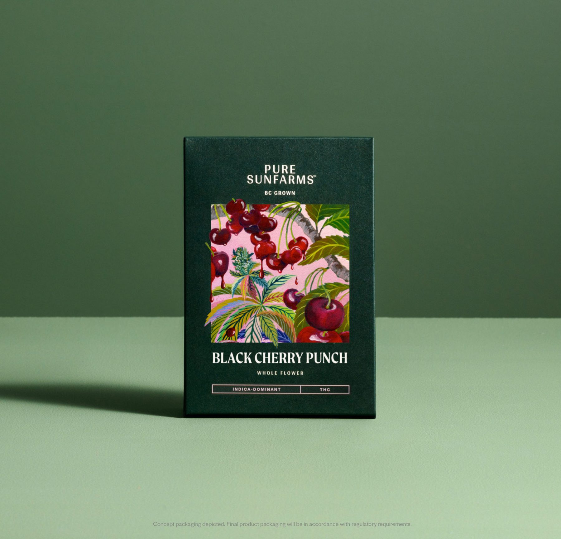 Black Cherry Punch Concept Package - Green
