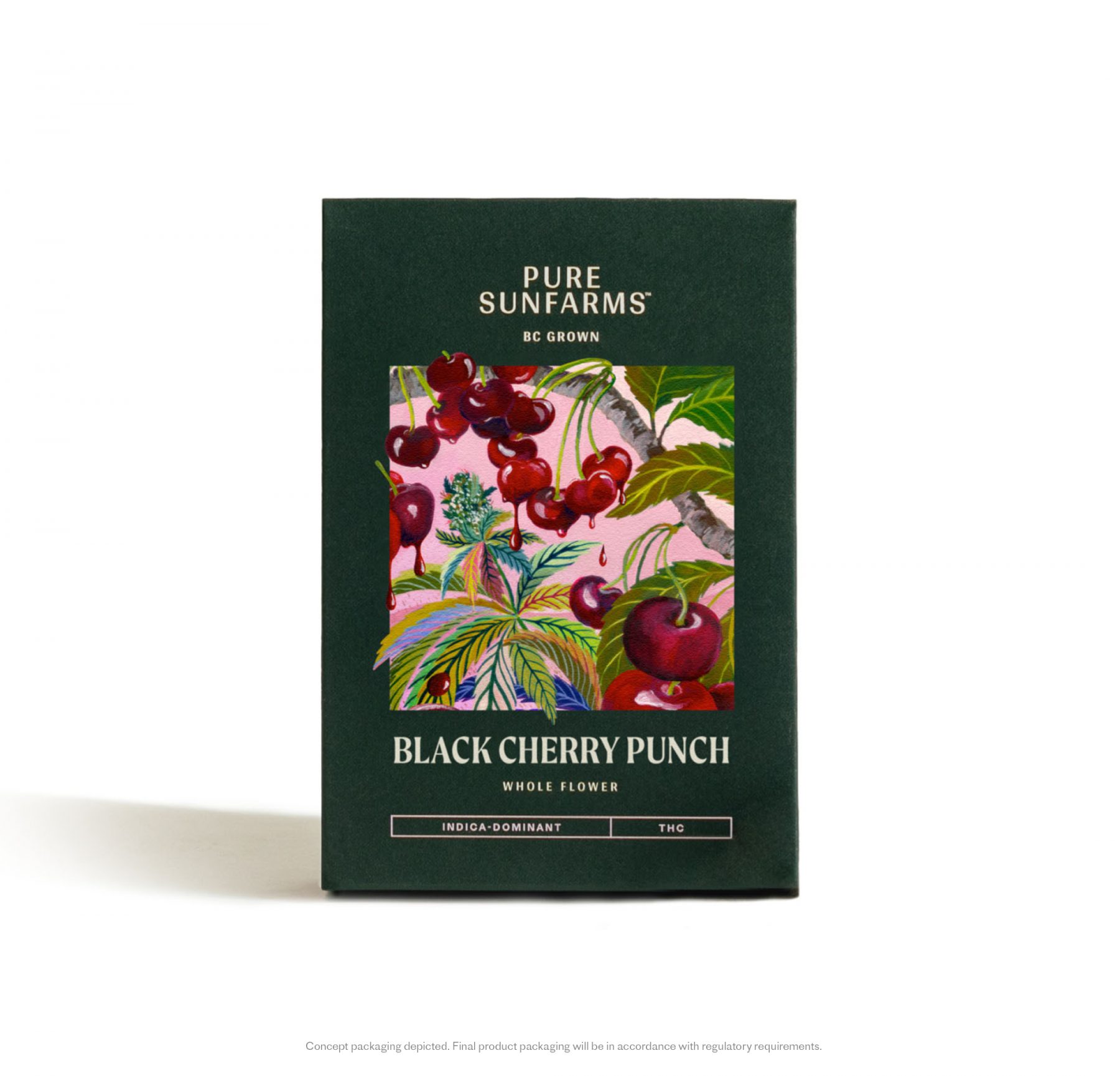 Black Cherry Punch Concept Package on white