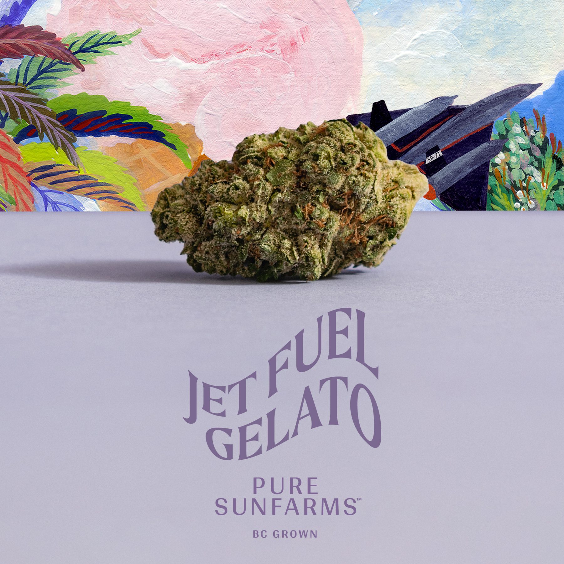 Jet Fuel Gelato Social Media Posts and Stories