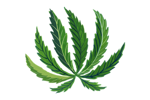 green weed leaf illustration