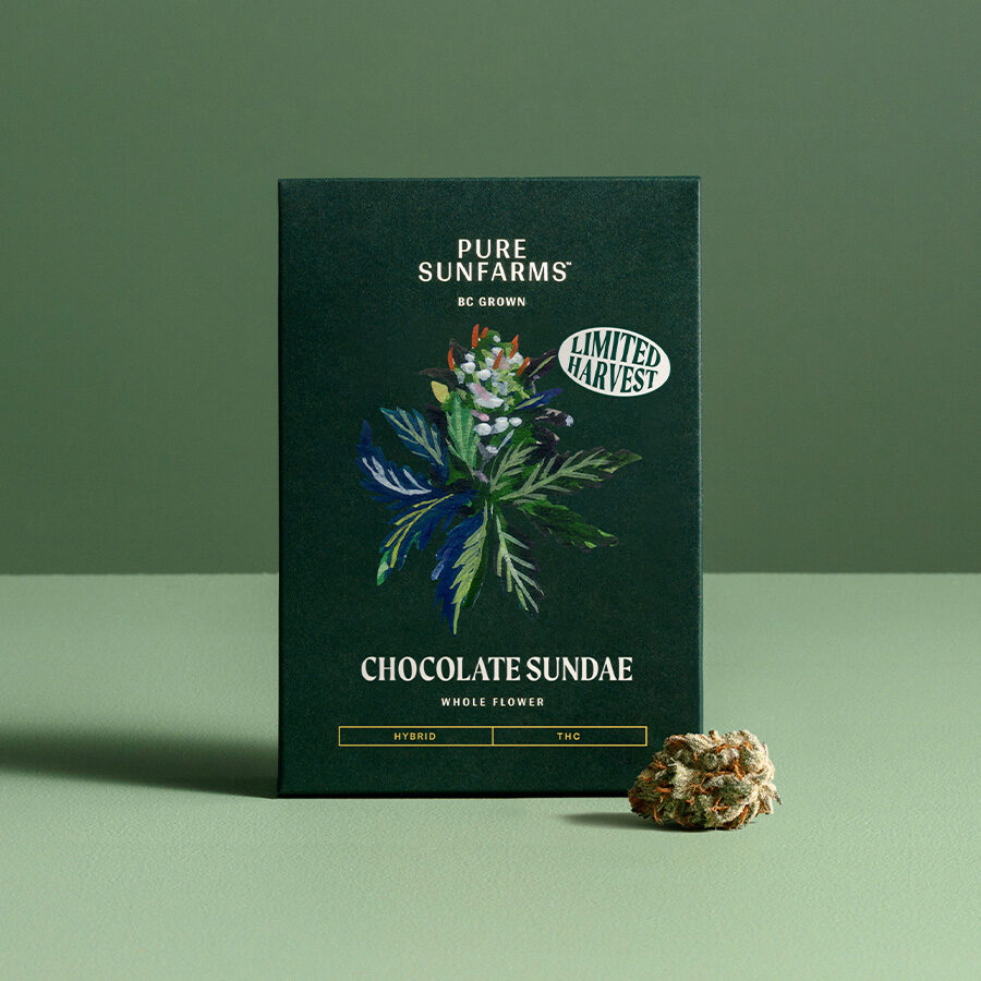 chocolate sundae concept packaging with bud on green background