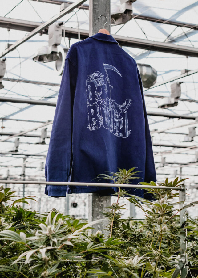 D. Bubba work shirt hanging in greenhouse with cannabis plants