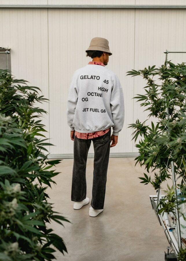 Model wearing Jet Fuel Gelato sweatshirt in greenhouse with cannabis plants