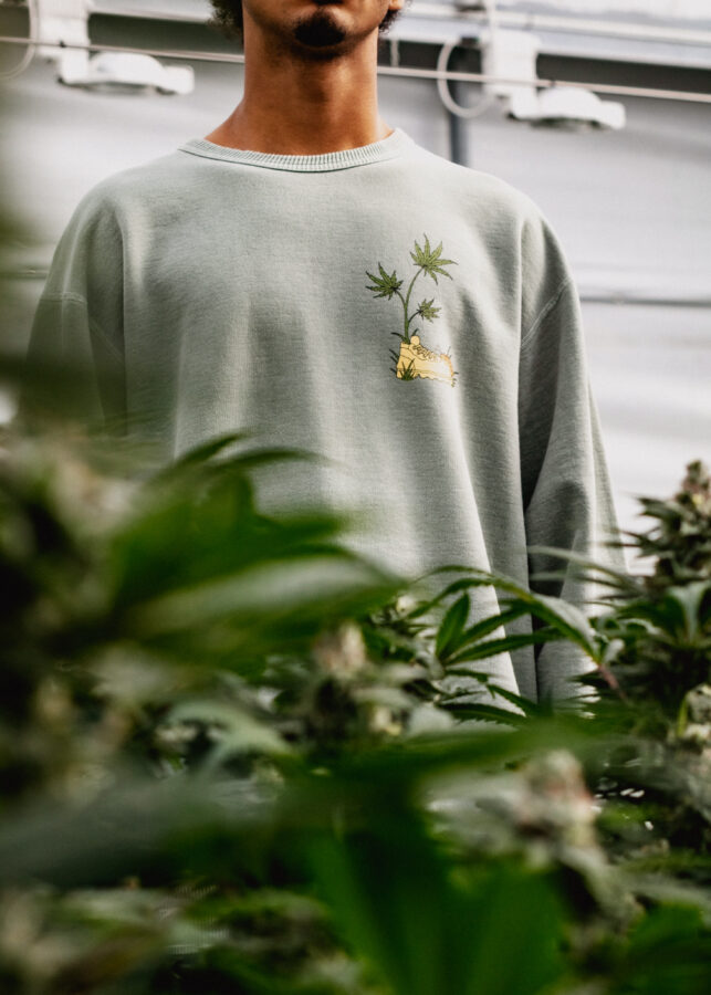Model wearing Flowerhood garment in the greenhouse with cannabis plants