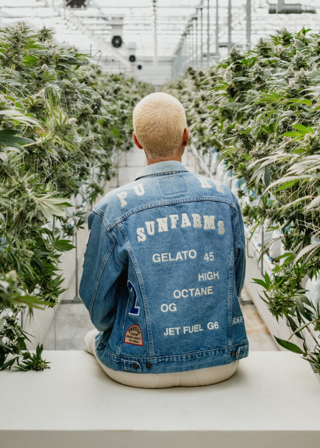 Model wearing embroidered jean jacket in the greenhouse