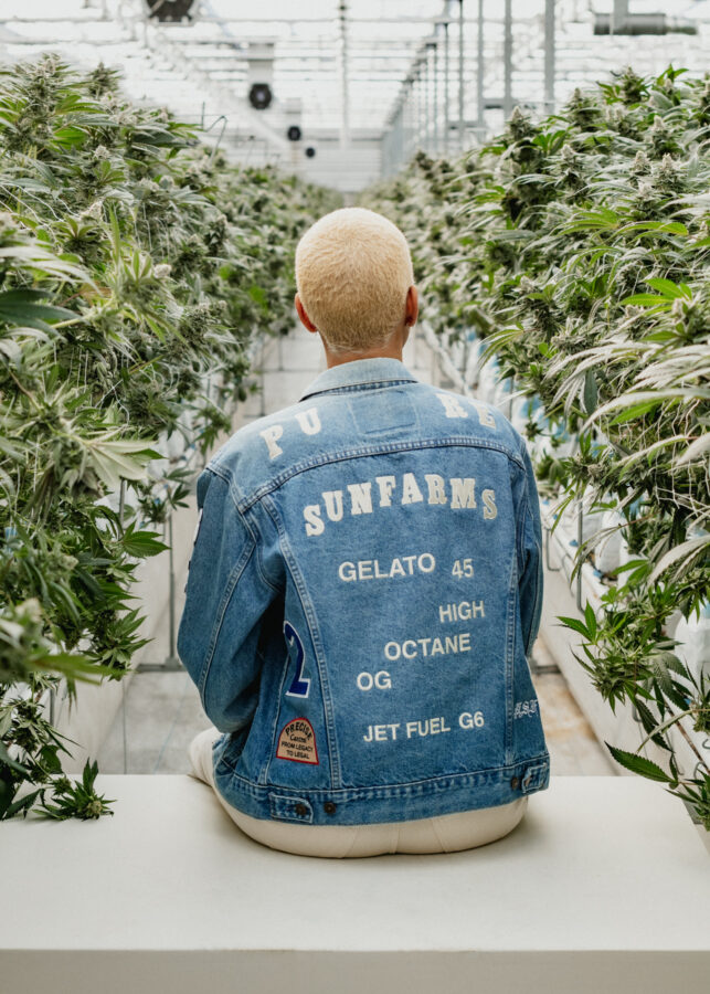 Model wearing Jet Fuel Gelato denim jacket in greenhouse with cannabis plants