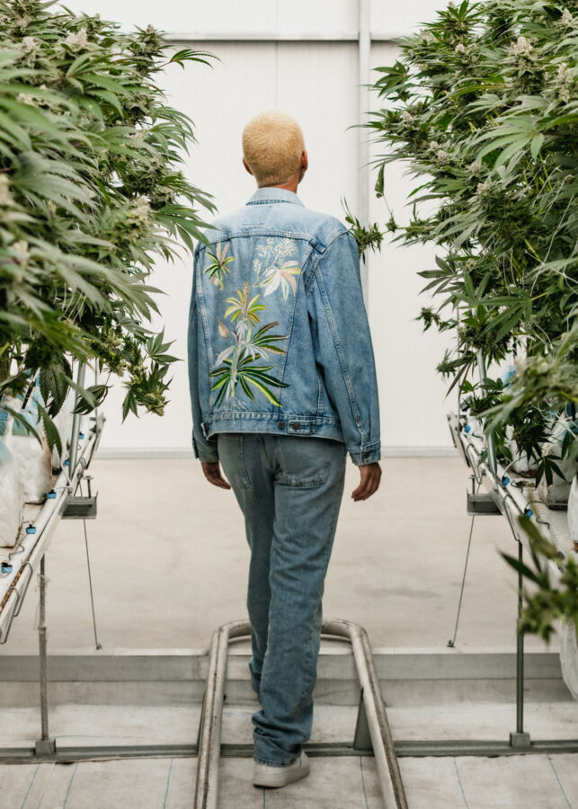 Model wearing Pennywise 1:1 denim jacket in greenhouse with cannabis plants