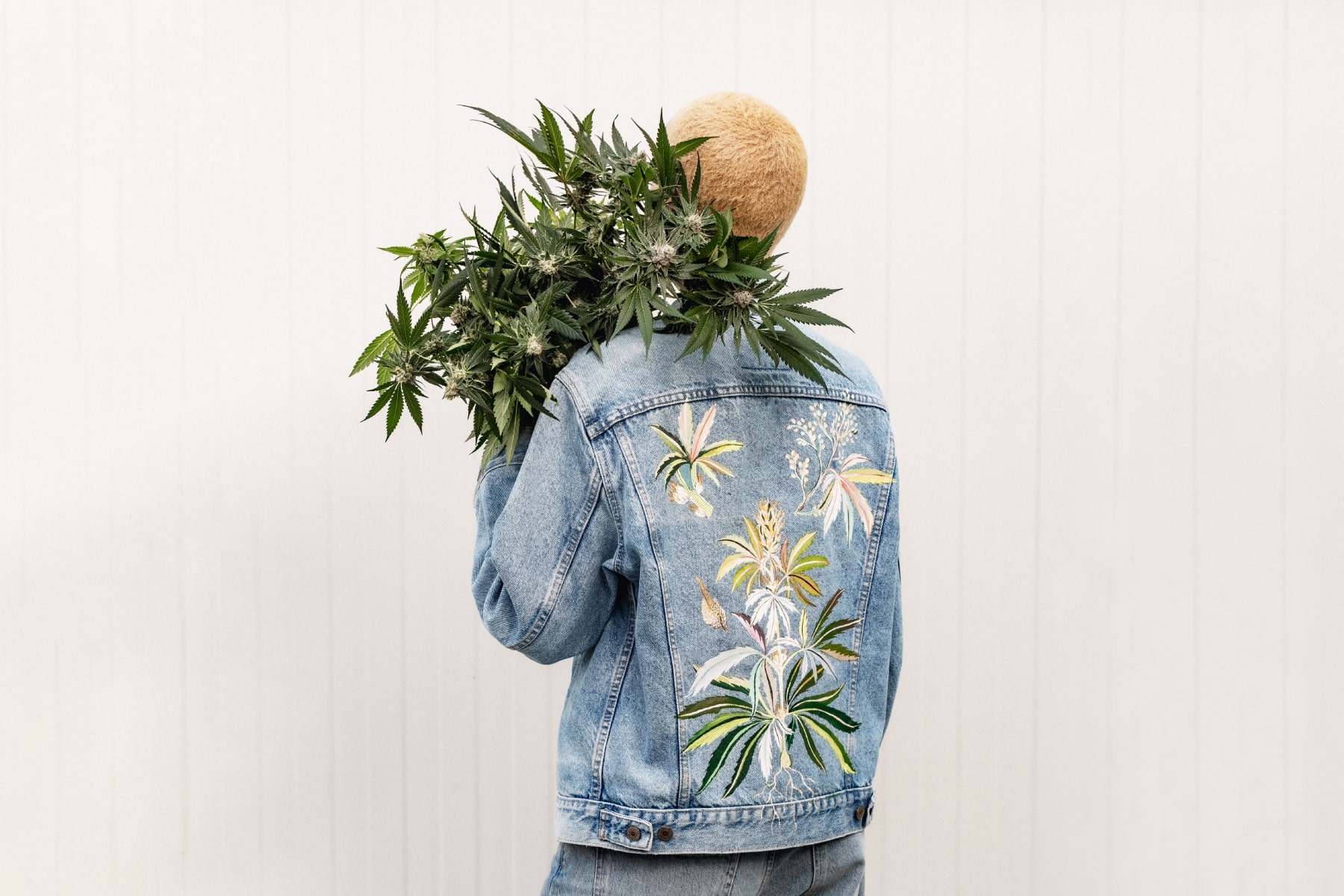 Pure Sunfarms marks 4/20 with ‘Pure Sunfarms FLOWERHOOD’