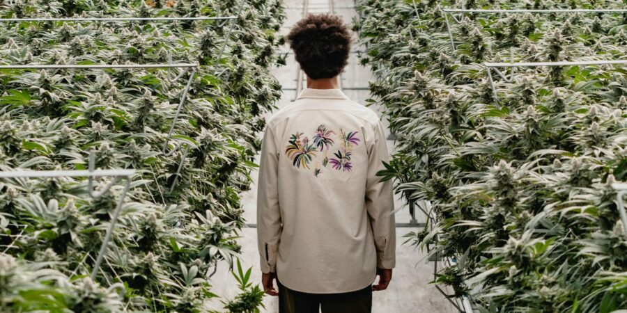 Model wearing garment in the greenhouse with cannabis plants