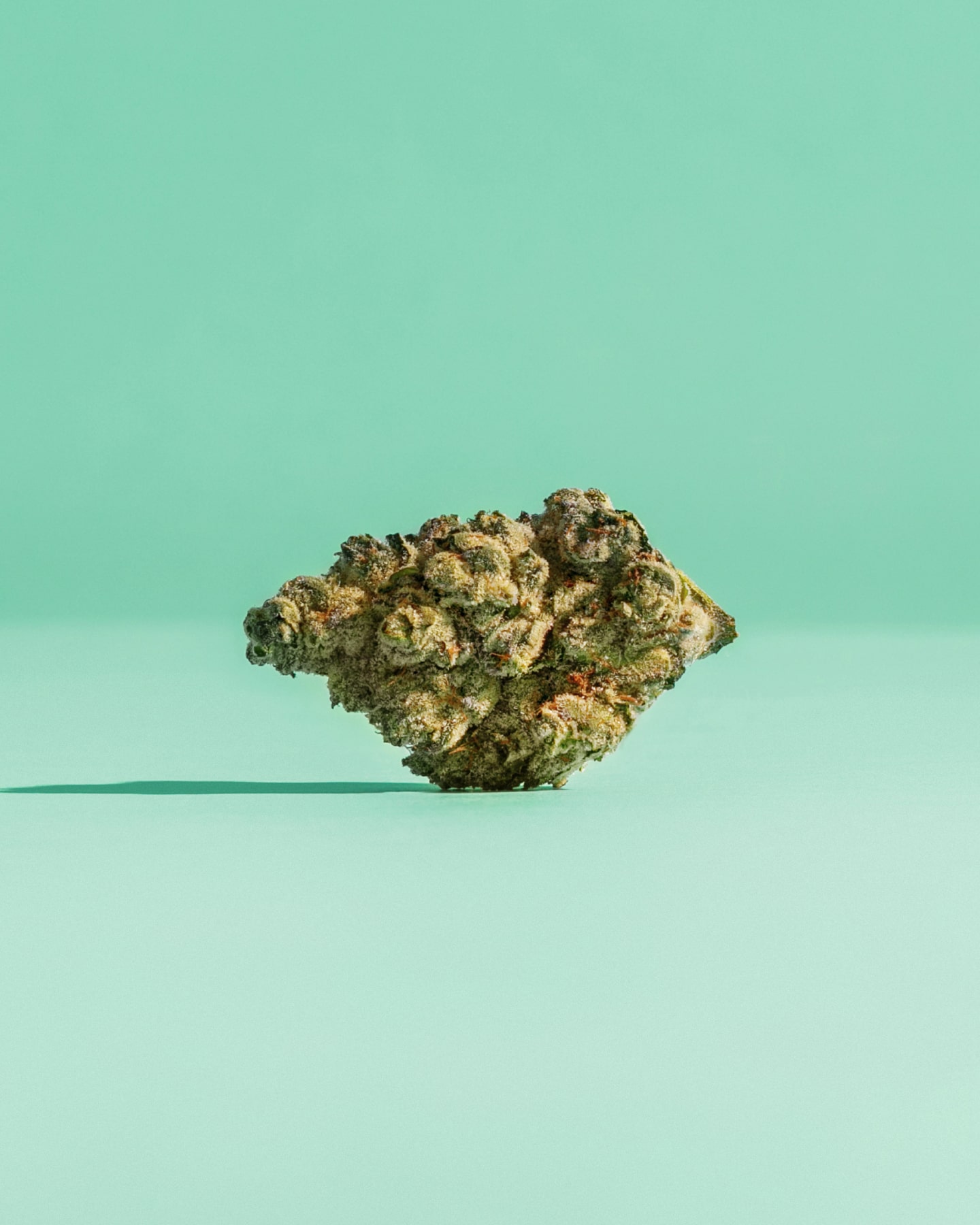 Bubble Mints bud