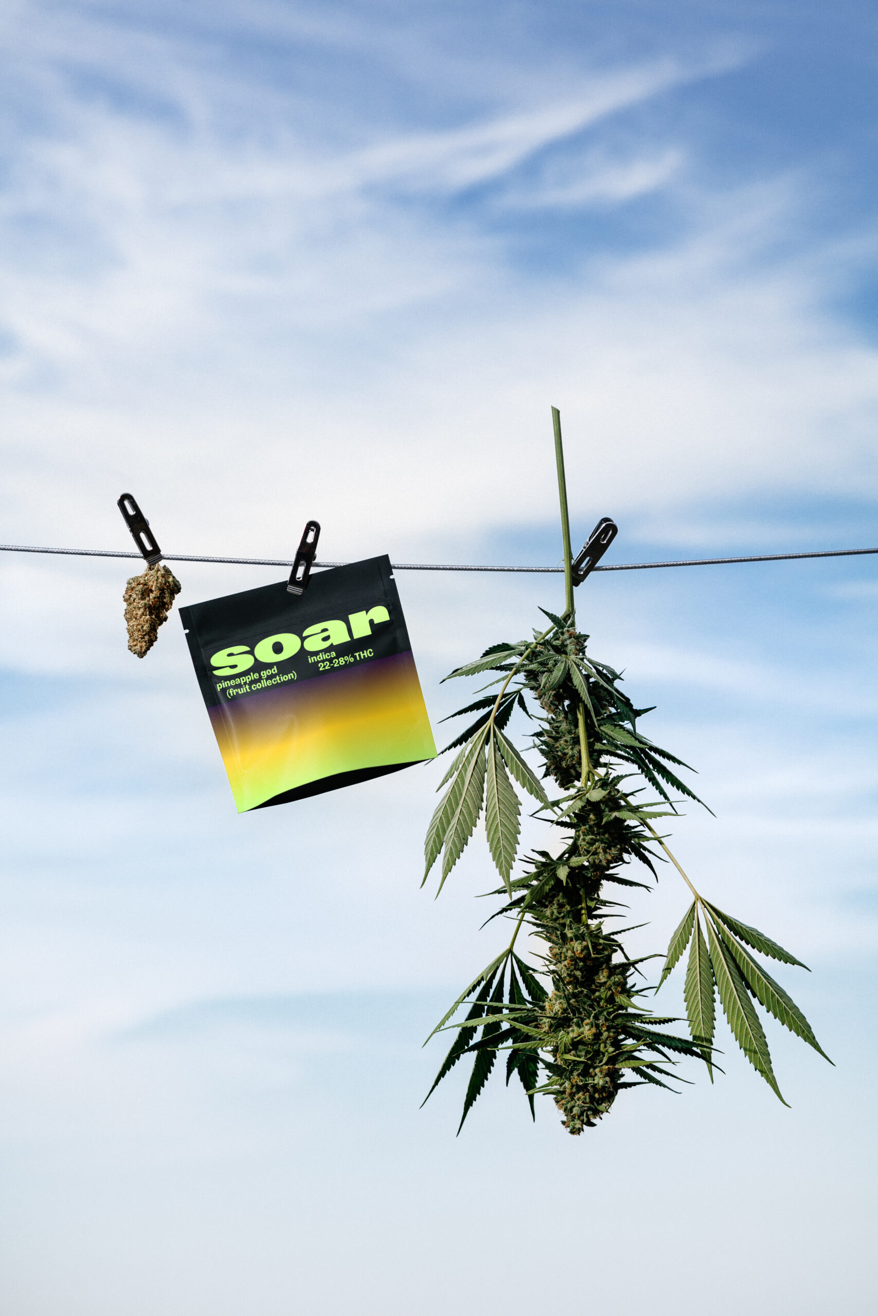 Pure Sunfarms introduces Soar, a cannabis brand reaching new heights.