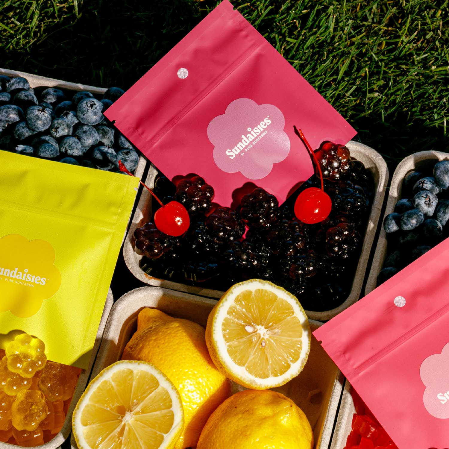 Concept packaging within fruit trays.