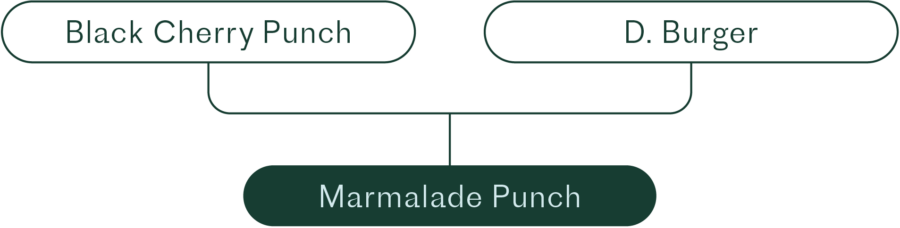 marmalade punch lineage