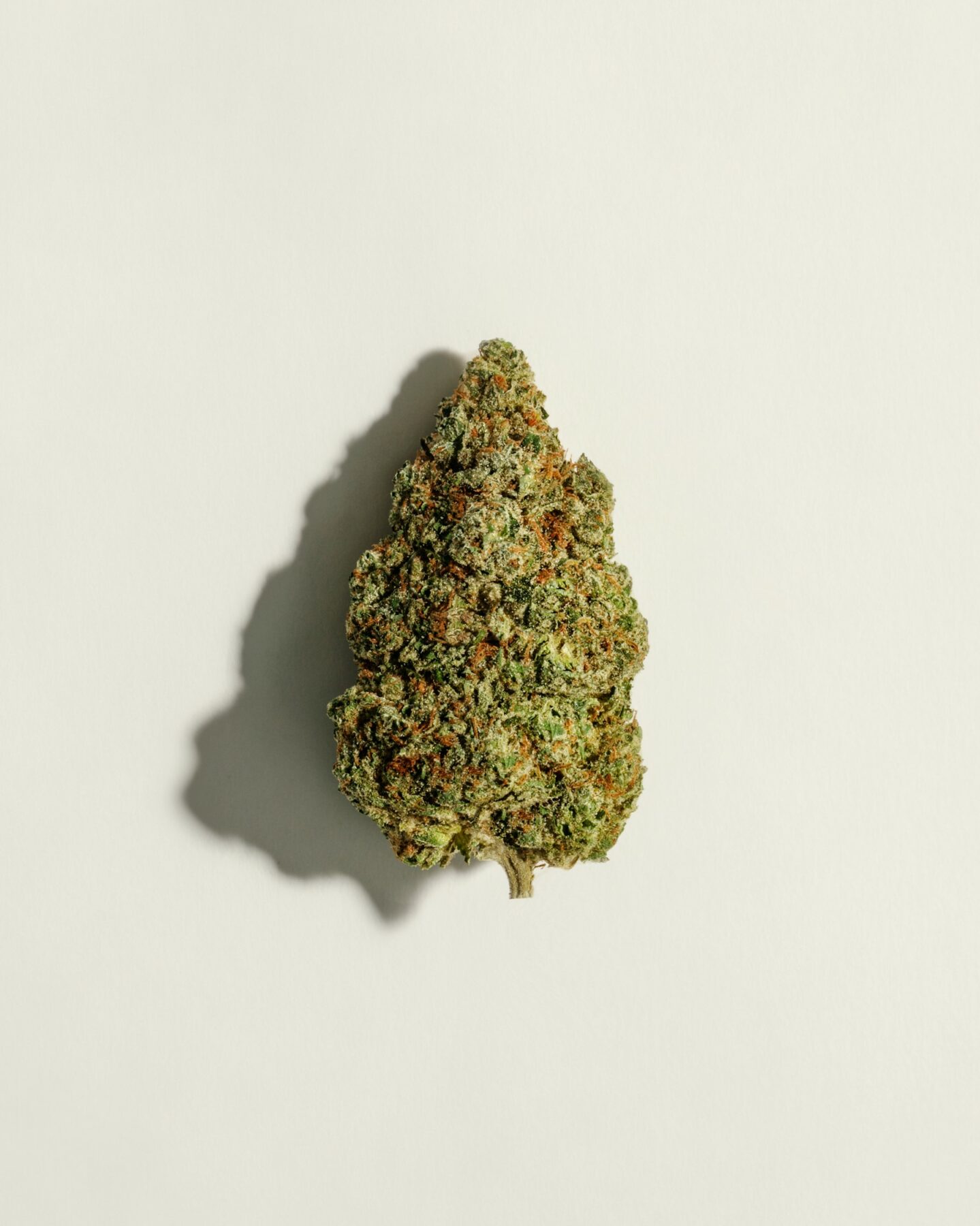 Big, beautiful buds: A closer look at our dried flower quality  