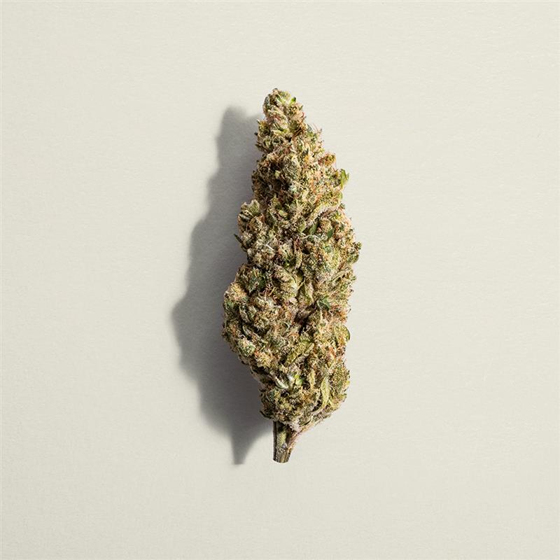 Blue Dream #16